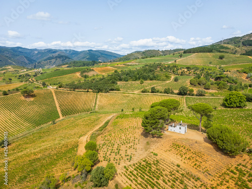 Obraz na płótnie A Bird's-Eye Perspective: Summer Splendor in Villafranca del Bierzo with Vineyards and Countryside, Spain w salonie