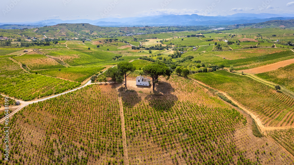 A Bird's-Eye Perspective: Summer Splendor in Villafranca del Bierzo with Vineyards and Countryside, Spain