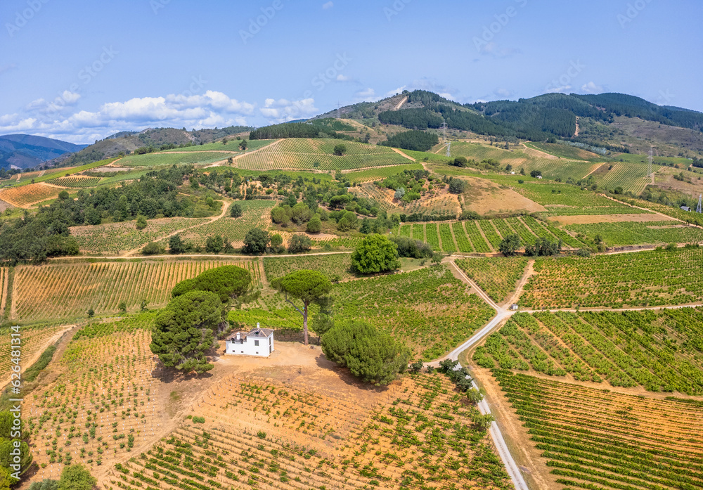 A Bird's-Eye Perspective: Summer Splendor in Villafranca del Bierzo with Vineyards and Countryside, Spain