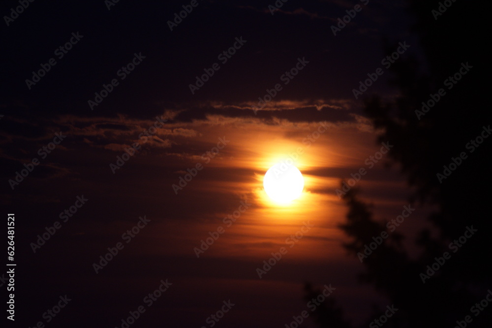 Full yellow moon in the night sky with branches of forest trees and clouds on a summer night Full yellow moon in the night sky with branches of forest trees and clouds on a summer night