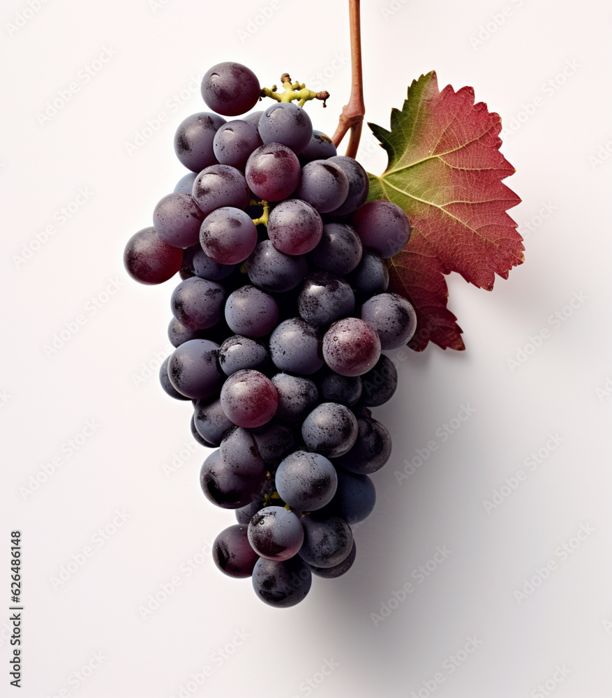 Fototapeta premium Bunch of black grapes with drops of water on a white background