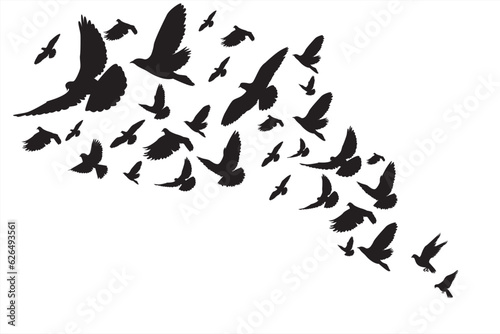 Group of pigeon Stock Vector illustration. Flock Of Pigeons Go Up Stock Illustration