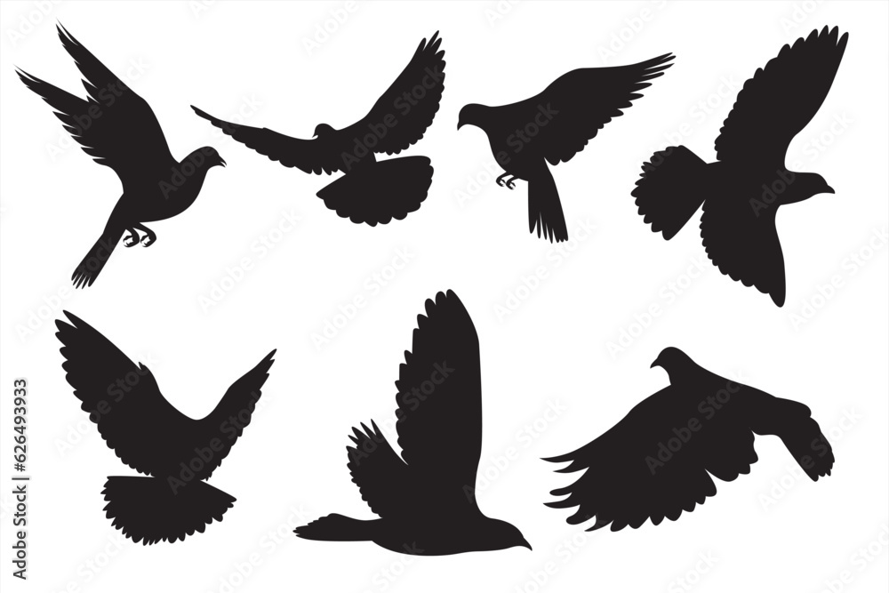 Fototapeta premium Group of pigeon Stock Vector illustration