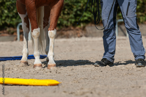Horse and trainer stand on the plastz next to soft bars, recording of the legs of the horse and trainer, landscape format..