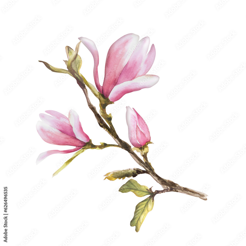 Watercolor Seamless Pattern Hand painted illustration Magnolia on white background with pink stains Watercolor Seamless Pattern Hand painted illustration Magnolia on white background with pink stains