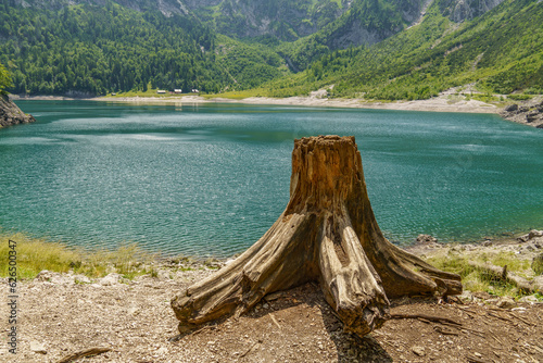 Sommer in den östereichischenn  Alpen photo