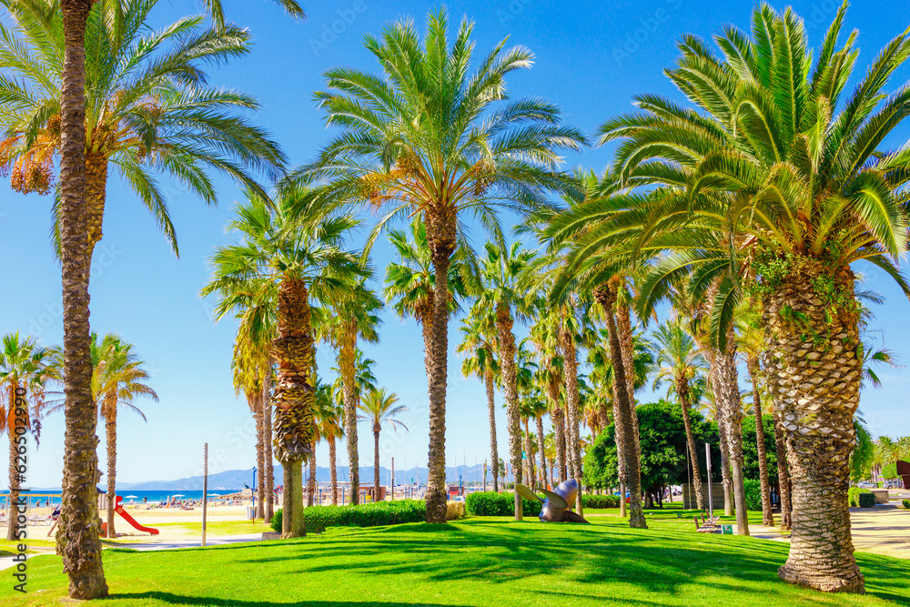 Beach view with palm trees in Salou, Spain, Europe. Sunny summer