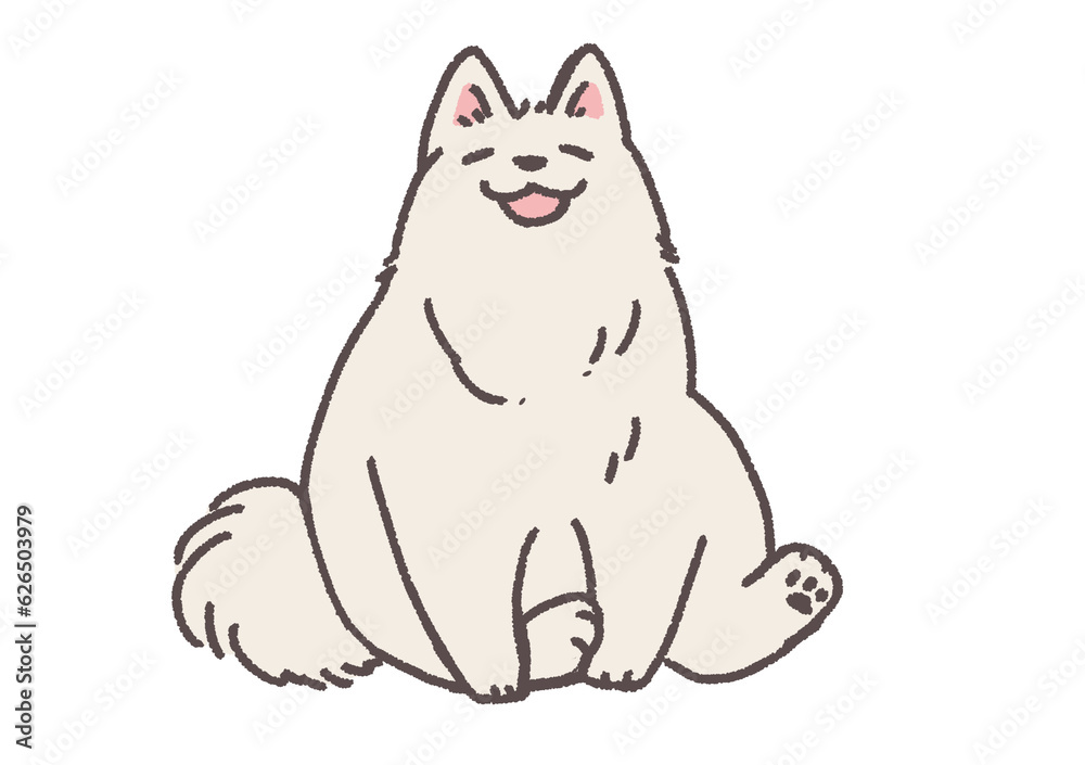 サモエド犬 サモエド犬