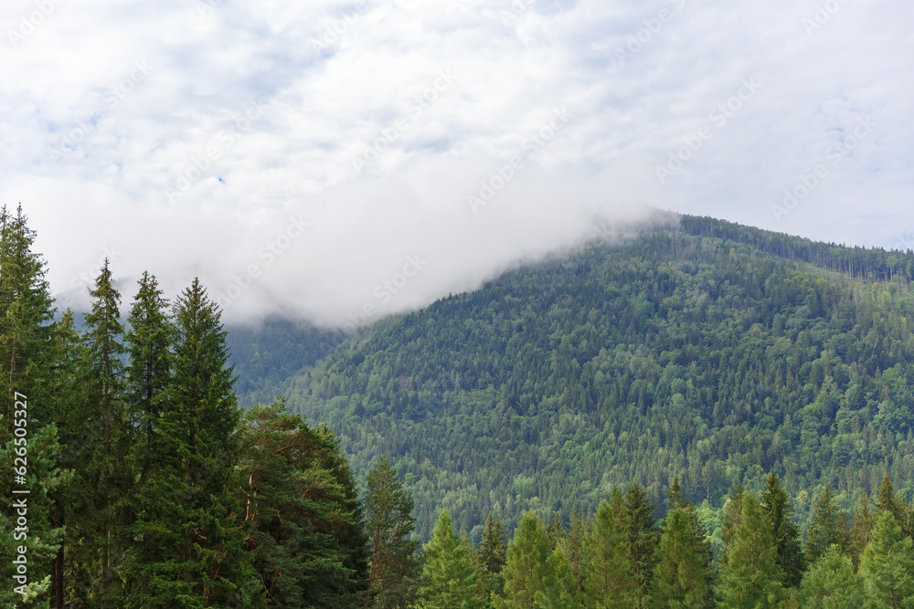 amazing views of the earth planet, mountains and forests of Ukraine, ukrainian carpathians, mountain view, mountains Carpathian. Ukraine