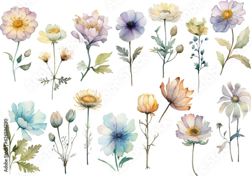 Vector watercolor painted flower. Hand drawn flower design elements isolated on white background.