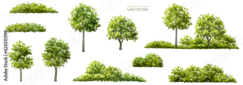 Vector watercolor green tree or forest side view isolated on white background for landscape and architecture drawing,elements for environment or garden,botanical element for exterior section in spring