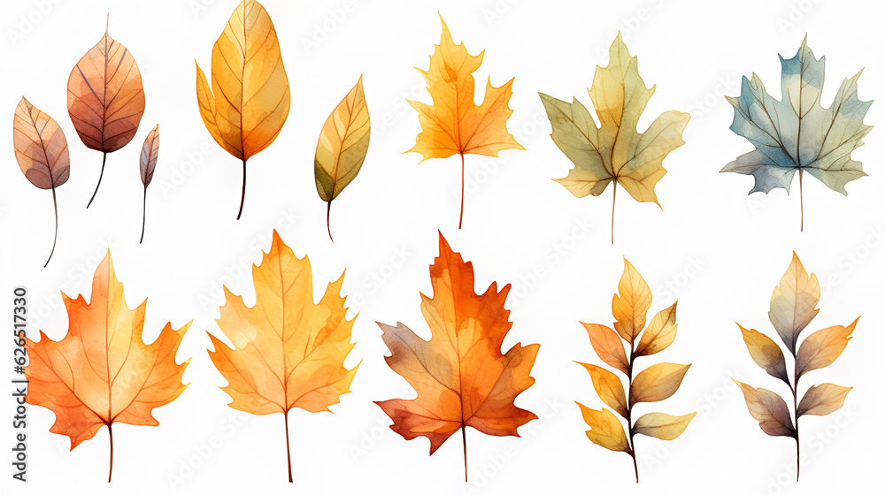 set of colorful autumn leaves