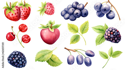 set of different watercolor berries on white background