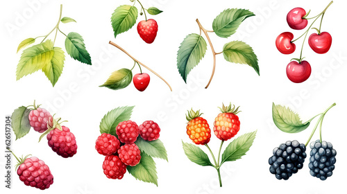 set of different berries on white background