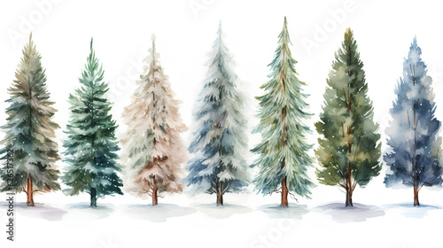 christmas trees in winter forest. watercolor hand painted illustration