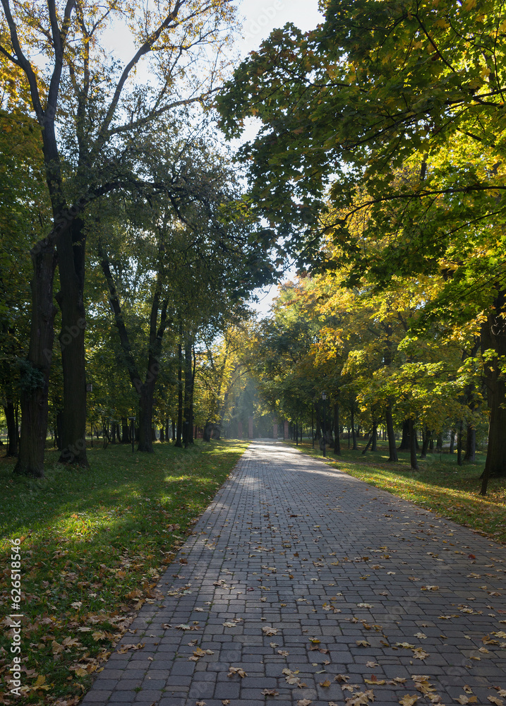 Walkway in the park in the summer