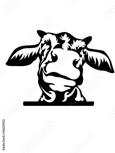 Funny and hilarious peeking cow SVG vector graphic and cut file 
