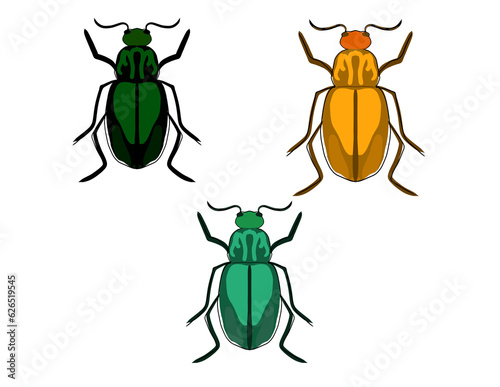 Colorful beetles, Insects Set, Isolated
