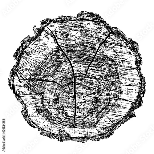 Wood texture cross section of tree rings. Cut slice of wooden stump isolated on white. Textured surface with rings and cracks. Black background made of hardwood from the forest. Vector illustration.