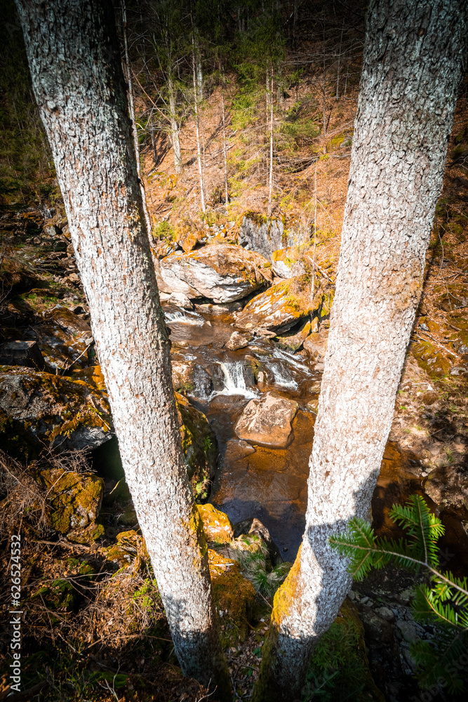 Hiking Through the Steinbach Gorge near Spiegelau in the Bavarian Forests Germany Hiking Through the Steinbach Gorge near Spiegelau in the Bavarian Forests Germany