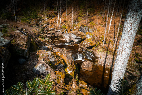 Hiking Through the Steinbach Gorge near Spiegelau in the Bavarian Forests Germany