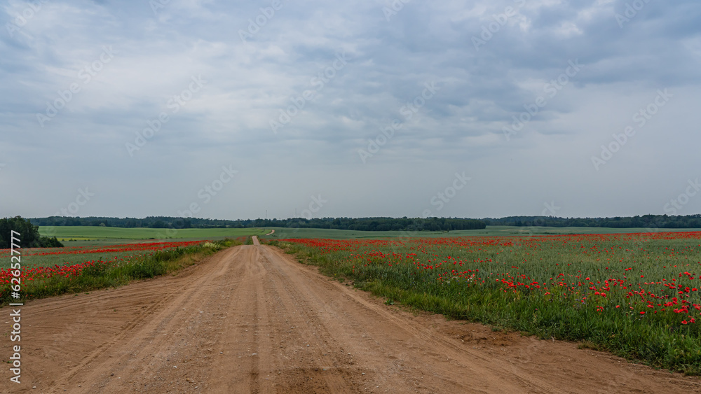 winding country road with poppy fields on both sides