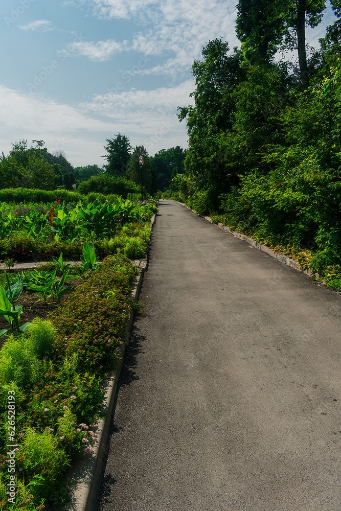 Alley in the park among dense green vegetation and flowers. Garden with many plants, flowers and alleys.