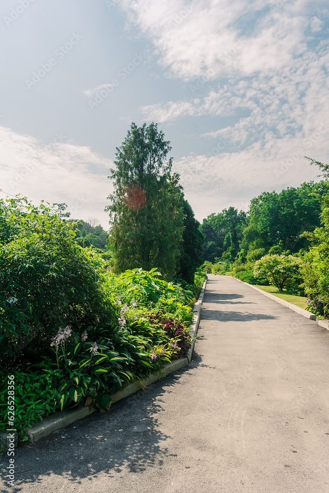 Alley in the park among dense green vegetation and flowers. Garden with many plants, flowers and alleys.