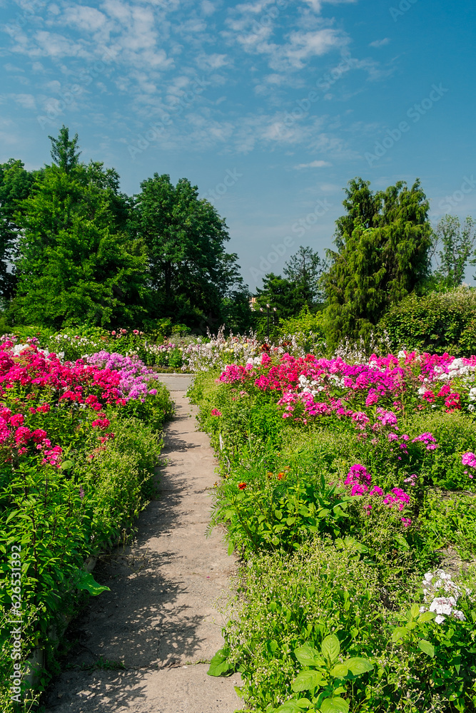  Path in the park among dense green vegetation and flowers. Garden with many plants, flowers and a path. A park full of pink flowers. Flower garden.