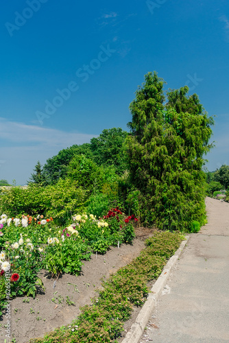 Alley in the park among dense green vegetation and flowers. Garden with many plants, flowers and alleys.