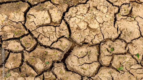 Dry cracked soil texture and background. Grunge soil background. Abstract ground.