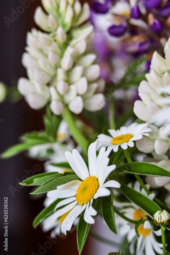 Bouquet of lupins and daisies on a light background. White and purple flowers. Spring bouquet  March 8  spring  love. Postcard  photo  holiday  presentation  flower shop.