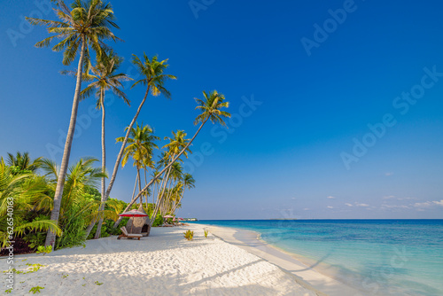 Maldives island beach. Tropical landscape summer resort. Closeup sea sand sky palm trees. Luxury travel chairs umbrella vacation destination. Exotic beach landscape. Amazing nature relax freedom coast