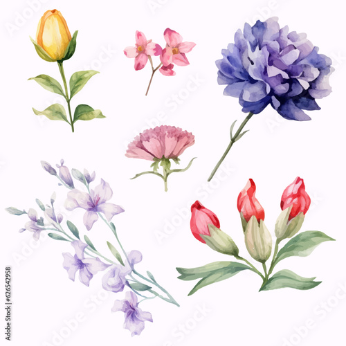 Watercolor painting of Flowers set. Blossom. 