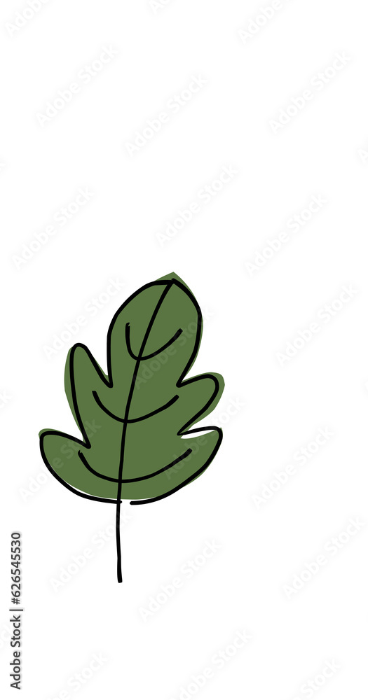transparent leaf isolated on white background transparent leaf isolated on white background