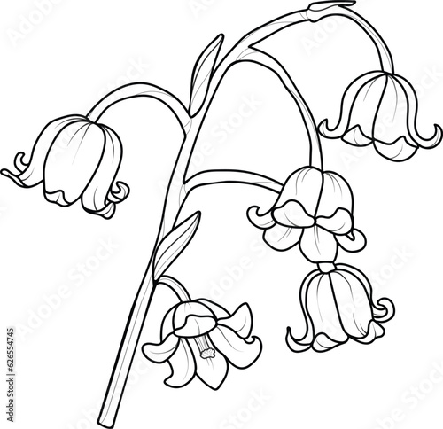 Cute hand drawn isolated black outline of lily of the valley branch (Vol.2)