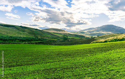 Scenic view at beautiful spring sunset in a green shiny field with green grass and golden sun rays, deep blue cloudy sky on a background , forest and country road, summer valley landscape