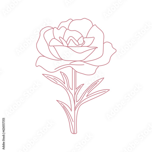 Rose vector drawing design. Floral icon sketch design.