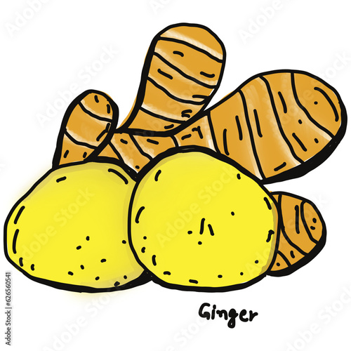 ginger drawing cartoon, carrot for cooking and food