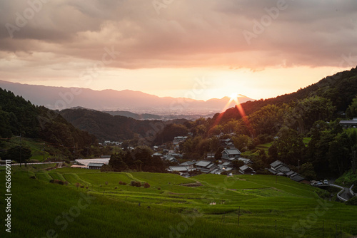 明日香村の棚田と夕日