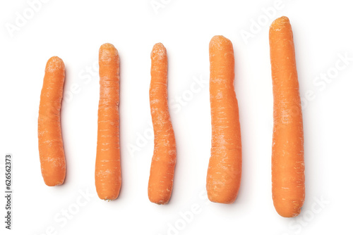 Ripe carrot on white