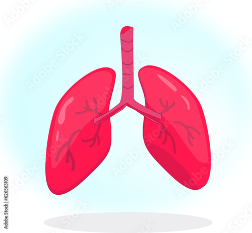 Lung human body organ anatomic medical and healthcare illustration