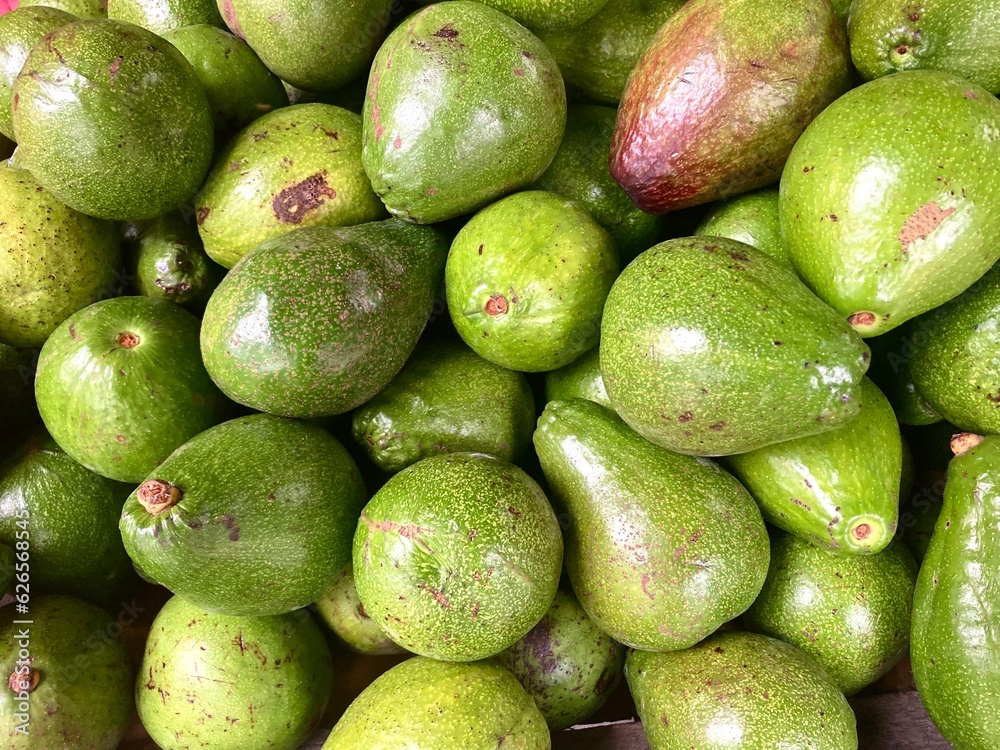 Bunch of avocado fruit in the market, fresh healthy food