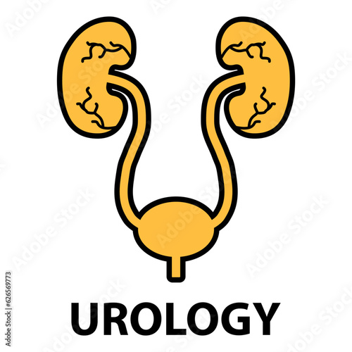 Urology health human icon, anatomy medical body bladder sign, biology vector illustration