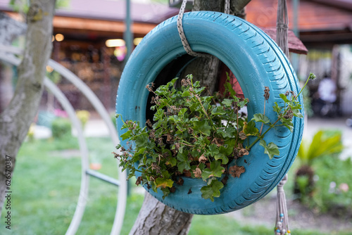 Beautiful flowers in an old decorative tire