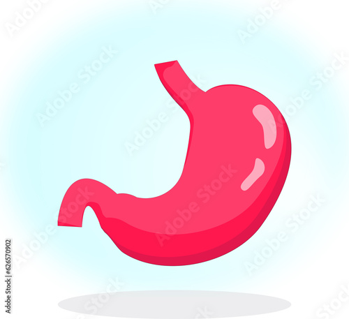 Stomach human body organ anatomic medical and healthcare illustration