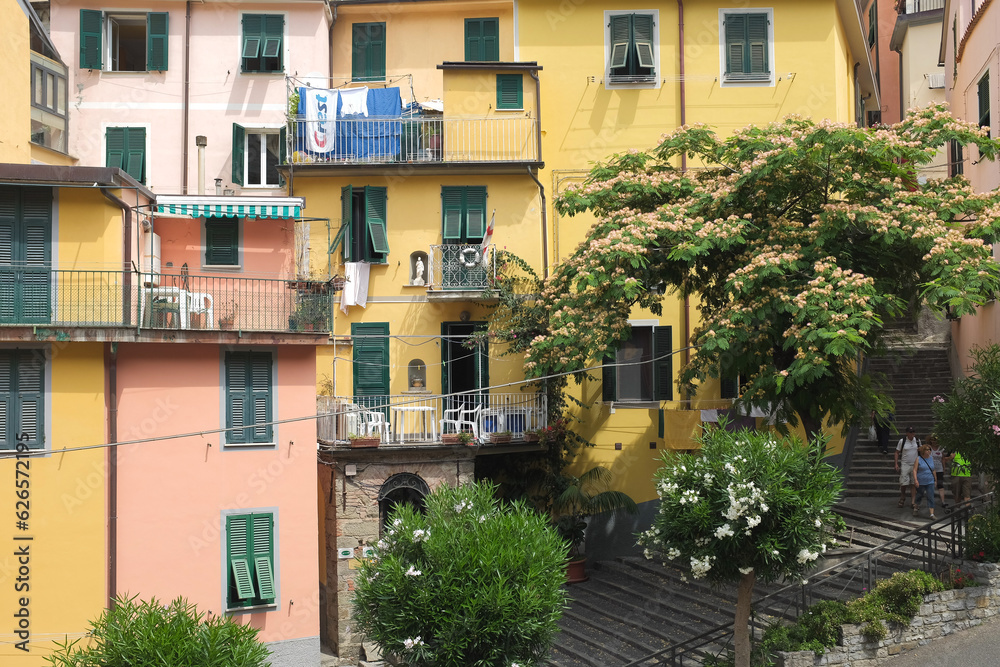 Cinque Terre, Italy - view of colorful houses in Riomaggiore, a seaside town on the Italian Riviera. Summer travel vacation background. Postcard from Europe. Italian architecture exterior.