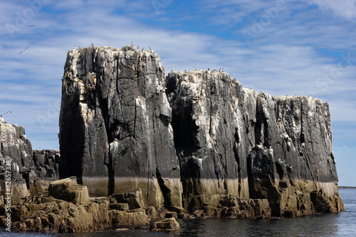 The Pinnacles, rock formation on the Inner Farne Islands, Northumberland, UK.