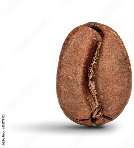 espresso or coffee bean isolated on transparent background copy space