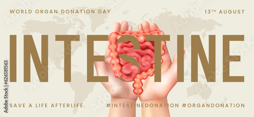 World organ donation day with intestine for transplantation, saving lives, artwork, print, doodle, vector illustration (Vector)